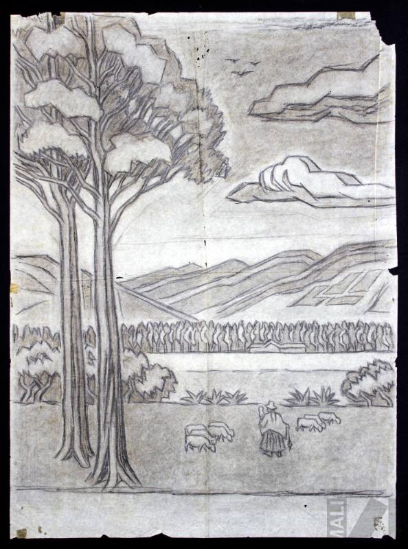 Estudio de campiña cajamarquina