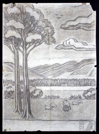 Estudio de campiña cajamarquina