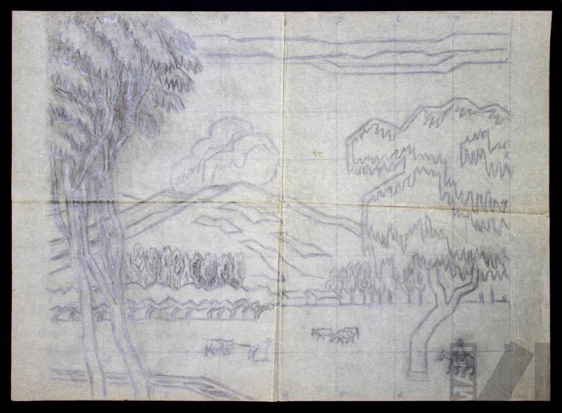 Estudio de campiña cajamarquina