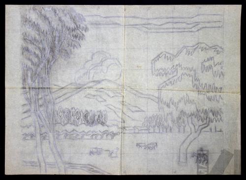 Estudio de campiña cajamarquina