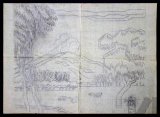 Estudio de campiña cajamarquina