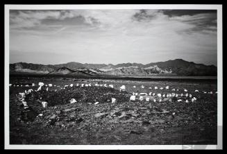 Sin título. Serie Las imágenes del terreno