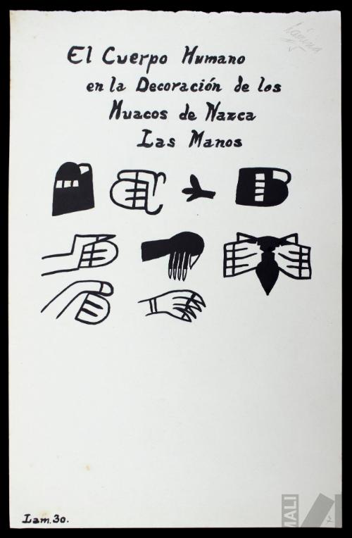 El cuerpo humano en la decoración de los huacos de Nazca, las manos