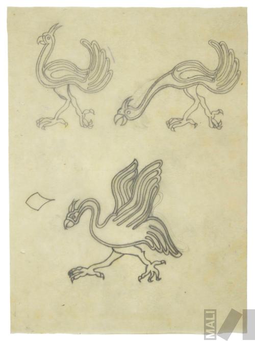 Diseño de aves