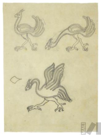 Diseño de aves