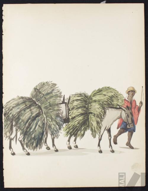 Yerbatero