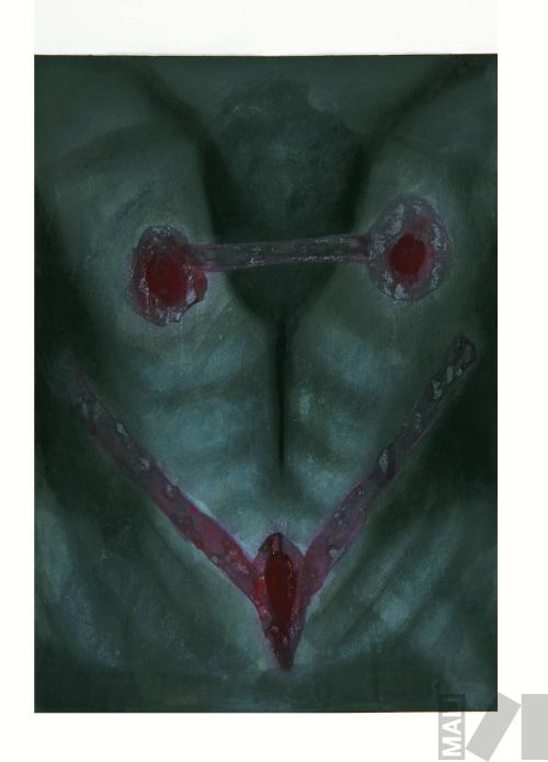 Sin título. Serie Altares