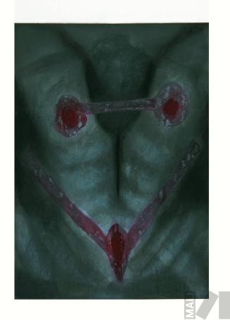 Sin título. Serie Altares