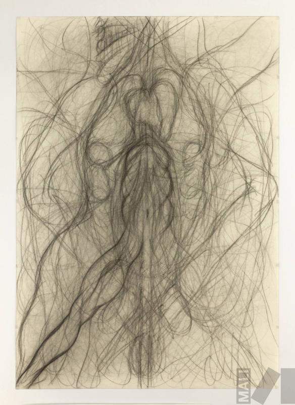 Sin título. Serie Altares