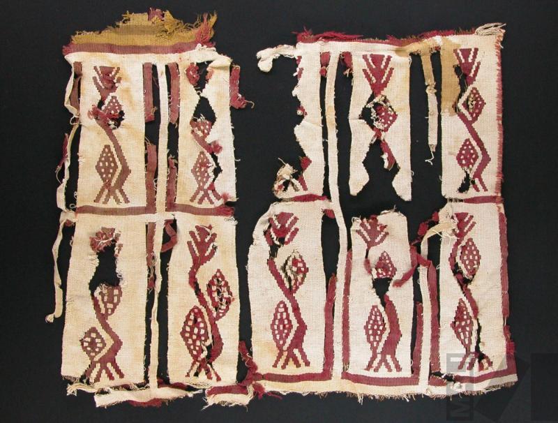 Fragmento de paño con diseños de plantas y frutos