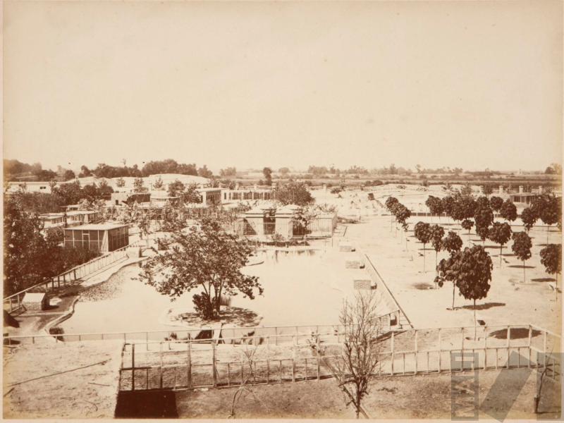 Laguna para los cisnes, Parque de la Exposición, Lima