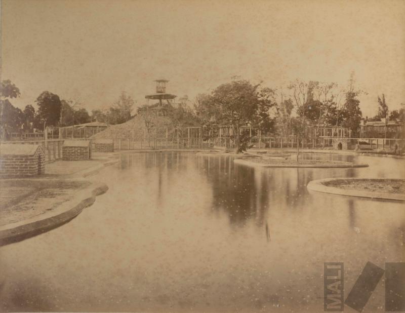 Laguna de los cisnes en el Parque de la Exposición