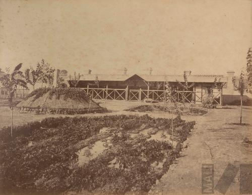 Establo del Parque de la Exposición. Álbum Exposición de Lima.