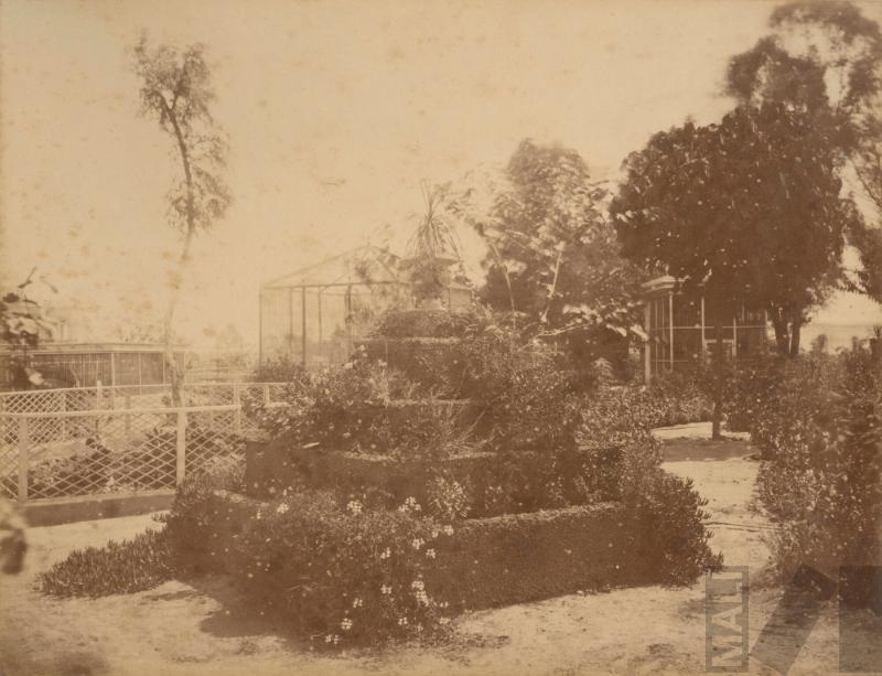 Palomar del Parque de la Exposición. Álbum Exposición de Lima.