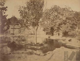 Laguna cerca del palomar en el Parque de la Exposición