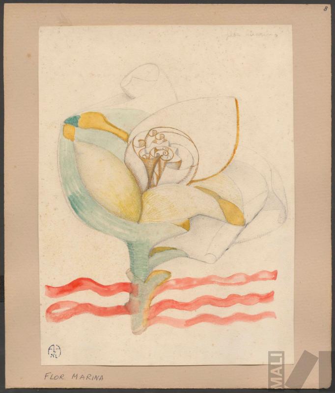 Flor marina