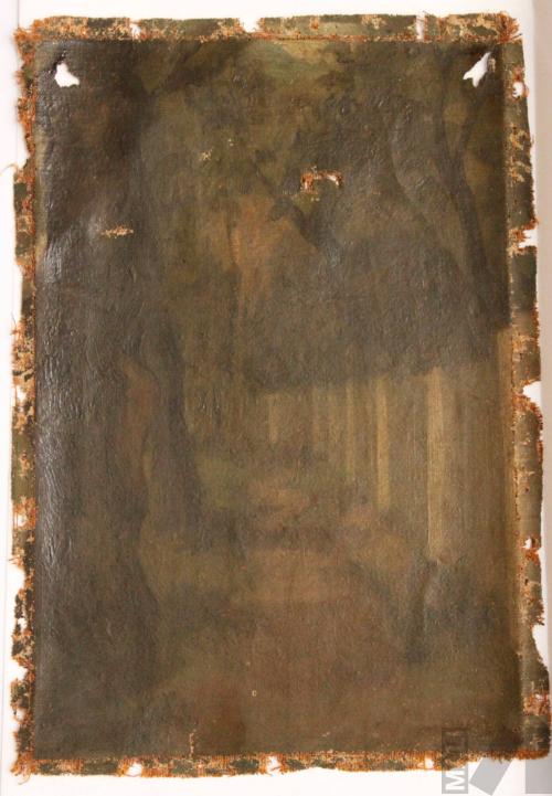 Paisaje de árboles y pared blanca