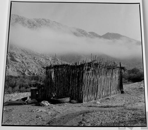 Twig Landscape, Pasamayo