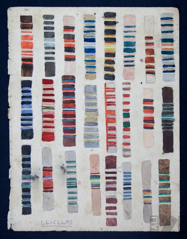 Estudio de color para llicllas canchinas