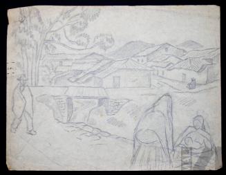 Estudio de paisaje andino