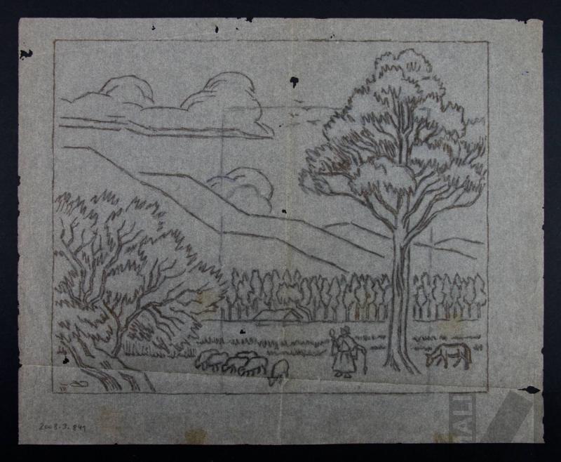 Estudio de campiña cajamarquina