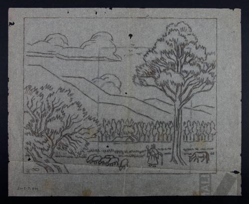 Estudio de campiña cajamarquina