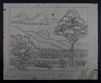 Estudio de campiña cajamarquina