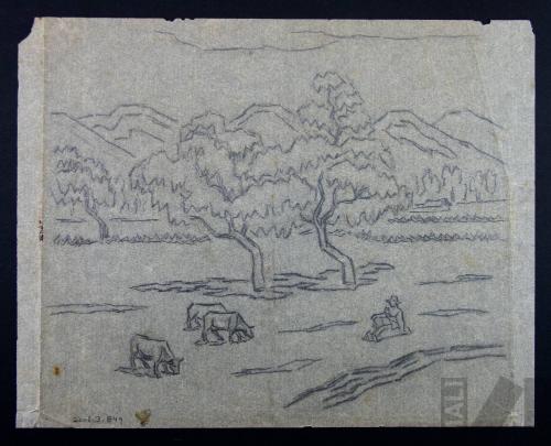 Estudio para 'Campiña de Cajamarca'