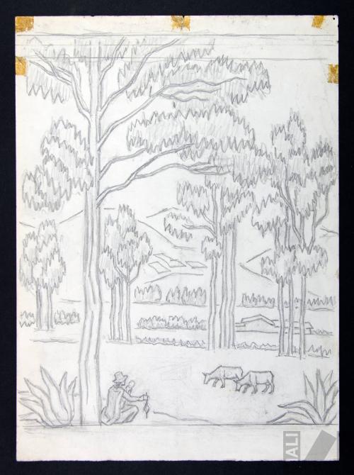 Estudio de campiña cajamarquina