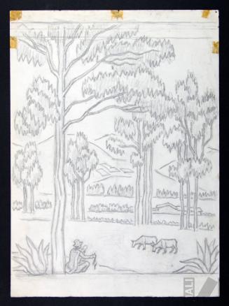 Estudio de campiña cajamarquina