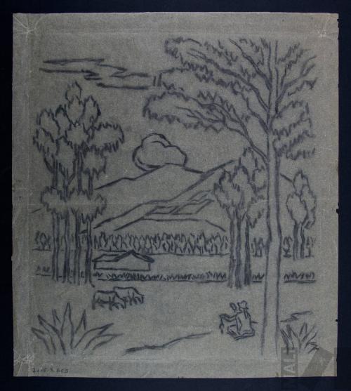 Estudio de campiña cajamarquina