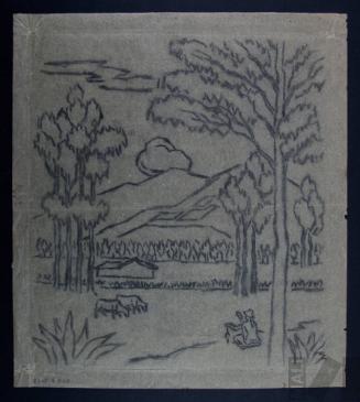 Estudio de campiña cajamarquina