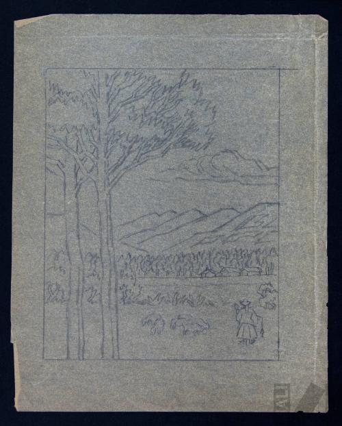 Estudio de campiña cajamarquina