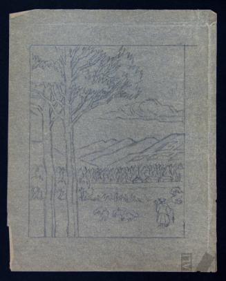 Estudio de campiña cajamarquina