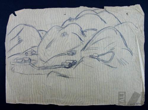 Estudio de paisaje andino