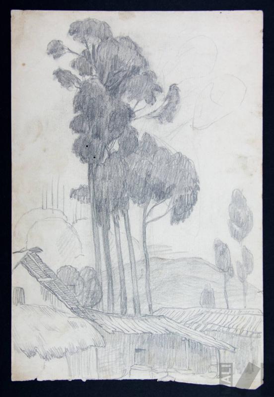 Estudio de paisaje andino