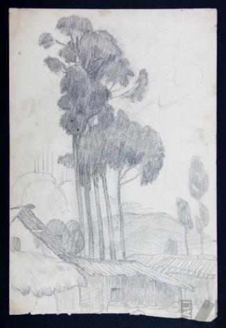 Estudio de paisaje andino