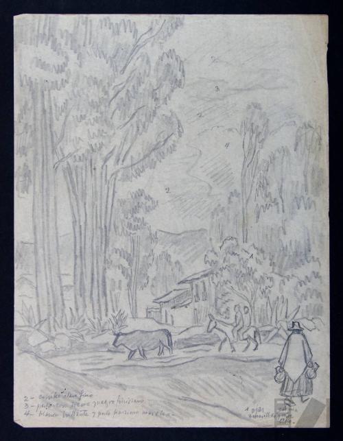 Estudio para 'Campiña de Cajamarca'