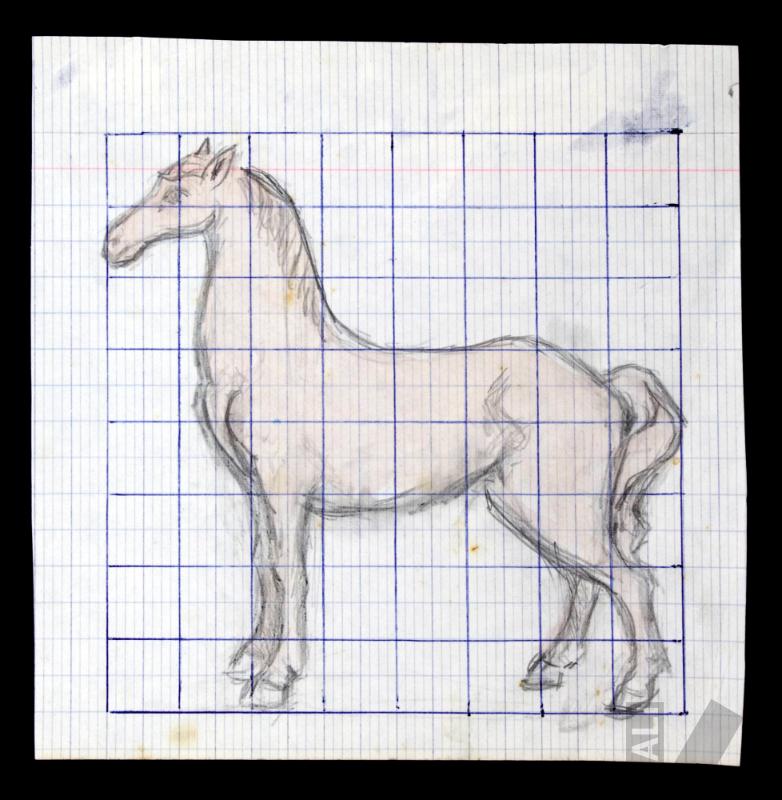 Estudio de caballo